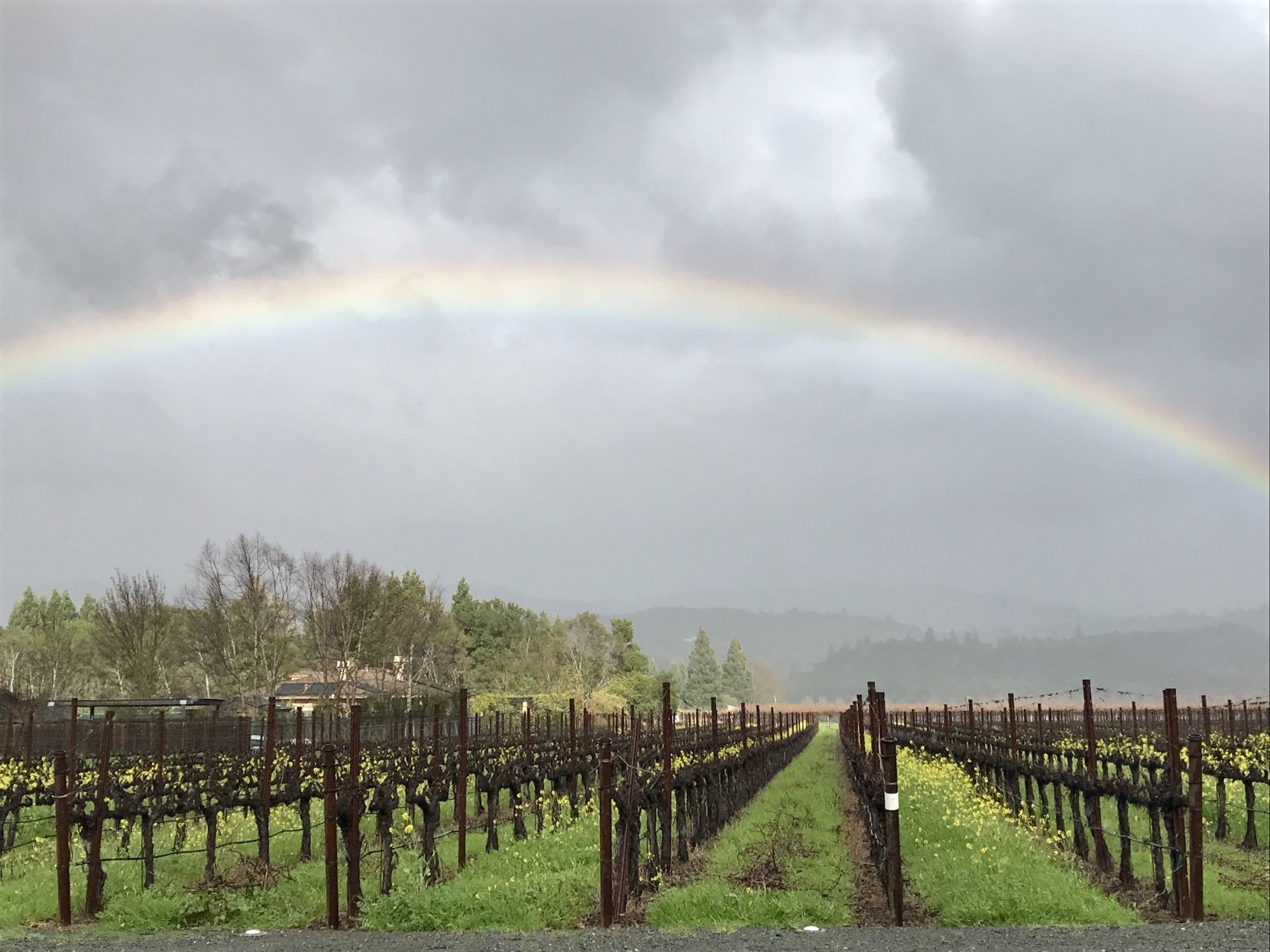 Rainbows in February